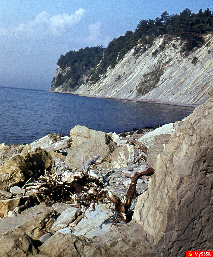 .  1971 .