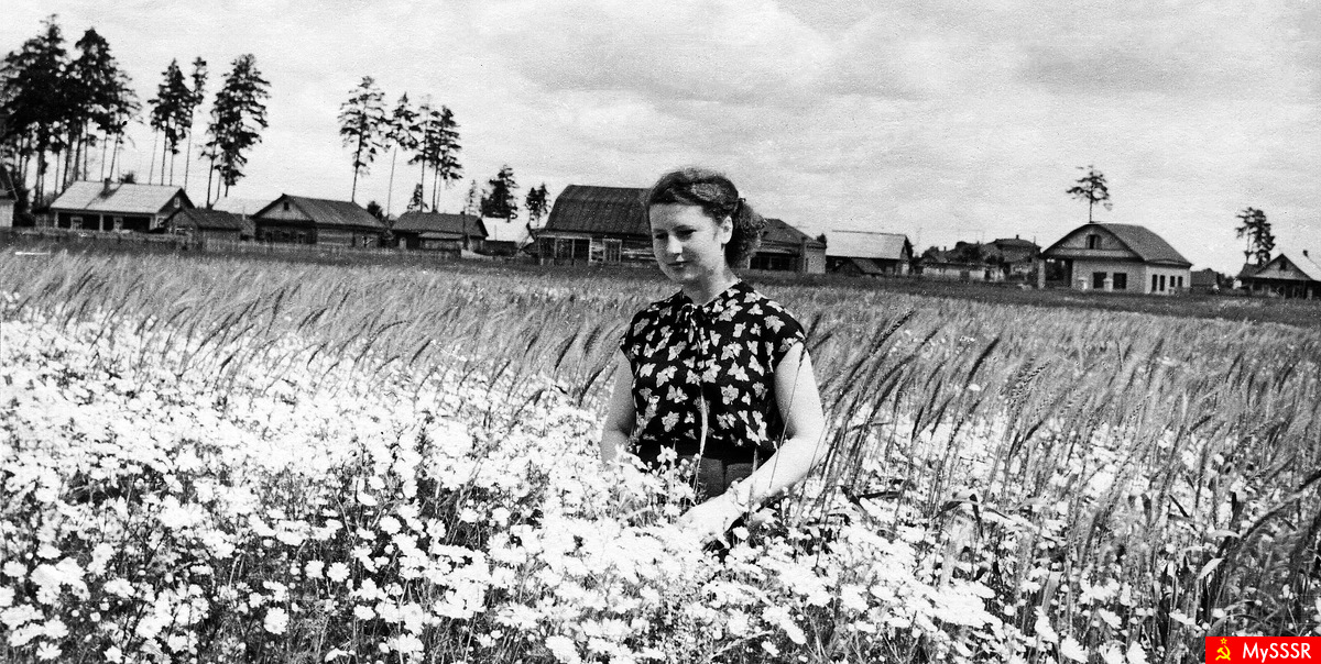  1953 .