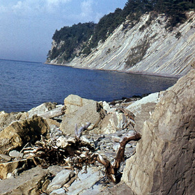 .  1971 .