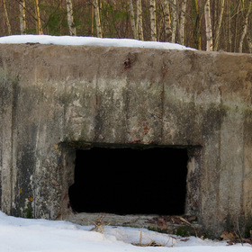  1941 .